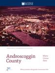 Androscoggin County: Maine Census Data
