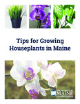 Tips for Growing Houseplants in Maine by Donna Coffin, Rebecca Long, and Matt Wallhead