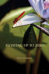 Floating Up To Zero by Ken Norris