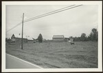 Bull in Pen Outside of House stead in Unknown Location by Franco-American Programs, Orono, ME