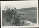 Country Pasture in Van Buren by Franco-American Programs, Orono, ME