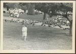 Yong Girl Feeds Pigeons by Franco-American Programs, Orono, ME