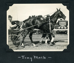 Tony Mack by Guy Kendall