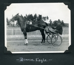 Bonnie Eagle [sic] by Guy Kendall