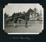 Gold Quartz by Guy Kendall