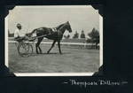 Thompson Dillon by Guy Kendall