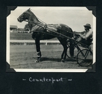Counterpart by Guy Kendall