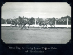 <b>Blue Jay</b> winning from Tippie Volo at Rochester by Guy Kendall