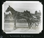 Wilson's Express