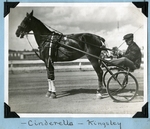 Cinderella — Kingsley
