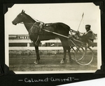 Calumet Amoret by Guy Kendall