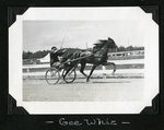 Gee Whiz by Guy Kendall