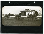 Frances Knight wins 2nd Race — <b>Pyramus</b> in third by Guy Kendall