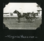 Virginia Hanover by Guy Kendall