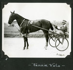 Fannie Volo by Guy Kendall