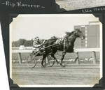Rip Hanover by Guy Kendall