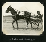 Calumet Doble by Guy Kendall