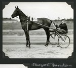 Margaret Harvest