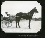 Mac Harvester by Guy Kendall