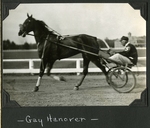 Gay Hanover by Guy Kendall