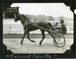 Calumet Calcutta by Guy Kendall