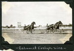 Calumet Evelyn wins by Guy Kendall