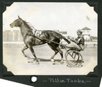 Tillie Tonka