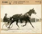 Jane Express