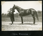 Tara Hanover