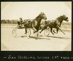 San Bellini wins 1st race