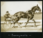 Sunnymede [Sunny Meade] by Guy Kendall