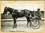 Clever Hanover by Guy Kendall