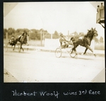 Herbert Woolf wins 3rd Race