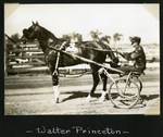 Walter Princeton