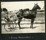 Erma Harvester by Guy Kendall