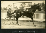 Grattan Patch--Bisson up by Guy Kendall