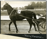 Harry Hanover by Guy Kendall