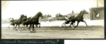 Calumet Dime (outside) wins 4th Race by Guy Kendall