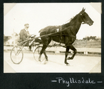 Phyllisdale by Guy Kendall