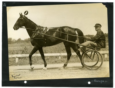 Sulky, Horse-Drawn, Harness Racing, Carriage