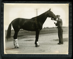 Unidentified Trainer and Horse by Guy Kendall