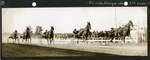 Private Marque wins 2nd race by Guy Kendall