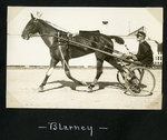 Blarney by Guy Kendall