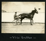 Volo Grattan by Guy Kendall