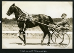 Belmont Hanover by Guy Kendall