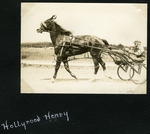 Hollyrood Henry 2nd