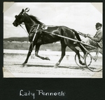 Lady Pennock
