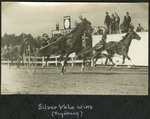 Silver Volo wins (Fryeburg) by Guy Kendall