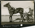 Hollyrood Chappell