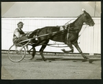 Unidentified horse -- Coleman up